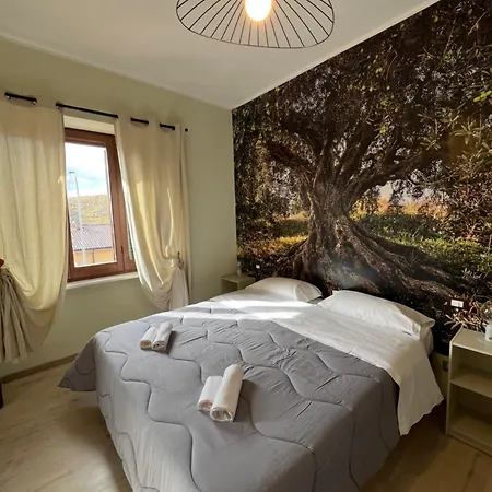 Bed & Breakfast Mo'sci